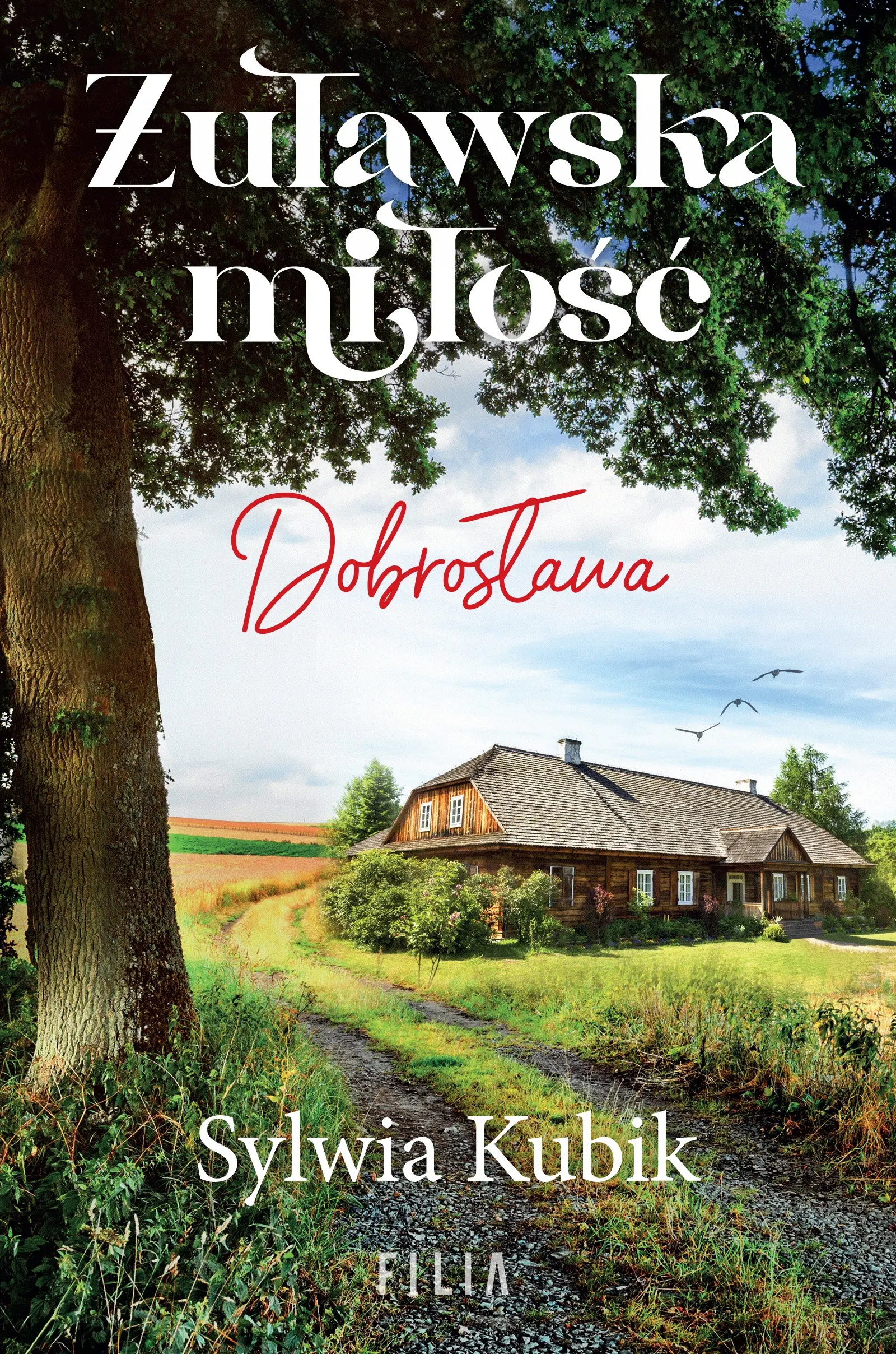 ŻUŁAWSKA MIŁOŚĆ Dobrosława Sylwia Kubik - Książki