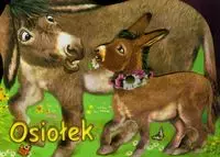 Osiołek - Książki