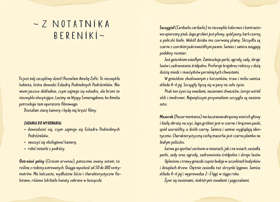 Niesamowite przygody Bereniki Szprot. Część I. Zagubiona przesyłka - Książki