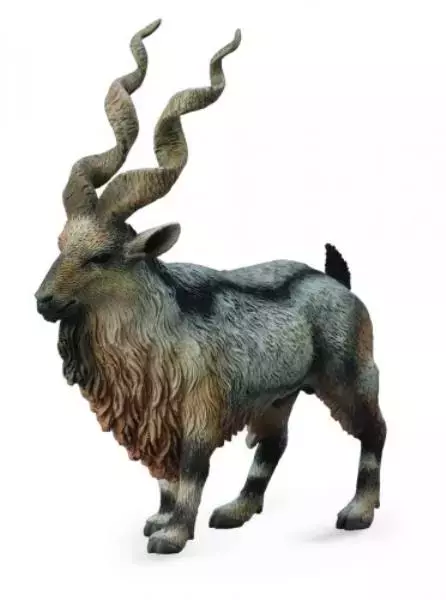 Tadjik Markhor - Książki