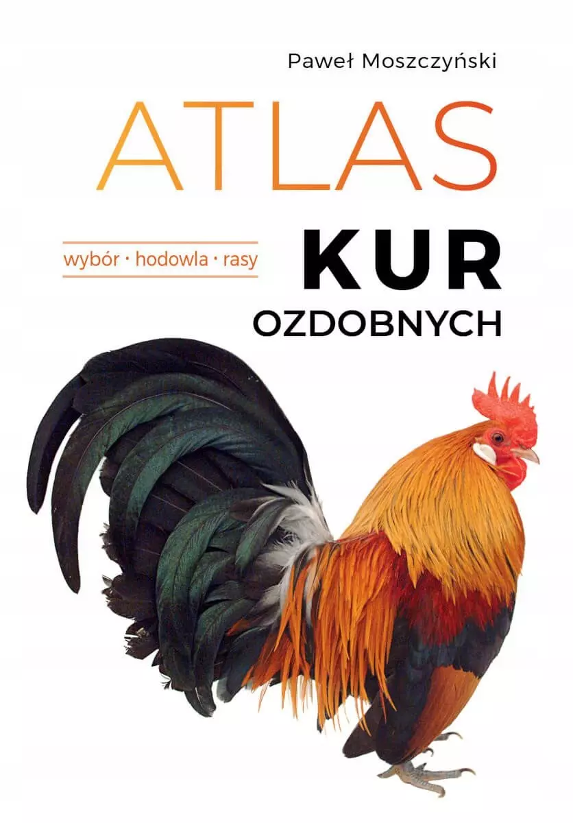 Atlas kur ozdobnych. Wybór. Hodowla. Rasy - Książki