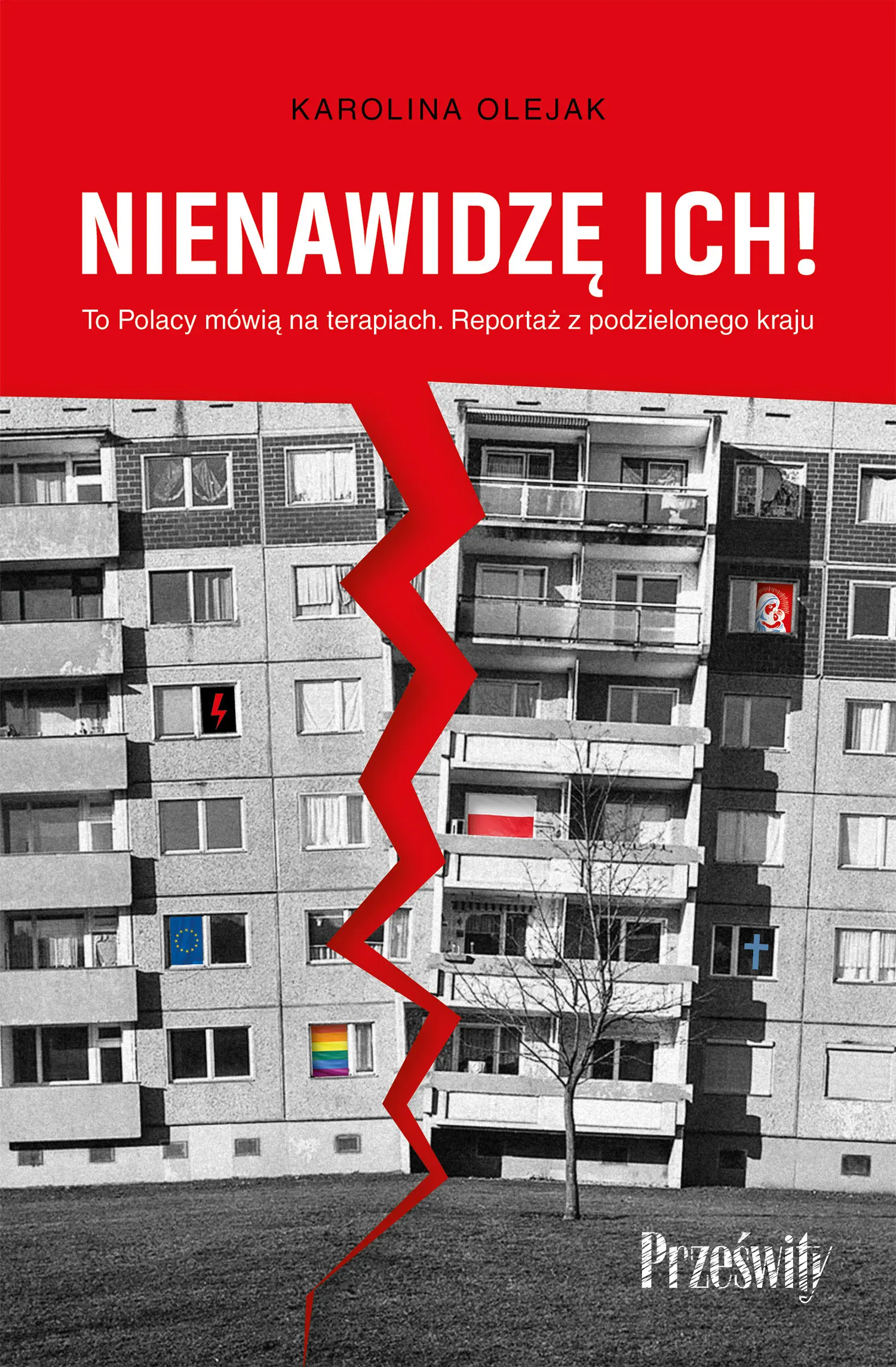 Nienawidzę ich! To Polacy mówią na terapiach. Reportaż z podzielonego kraju - Książki