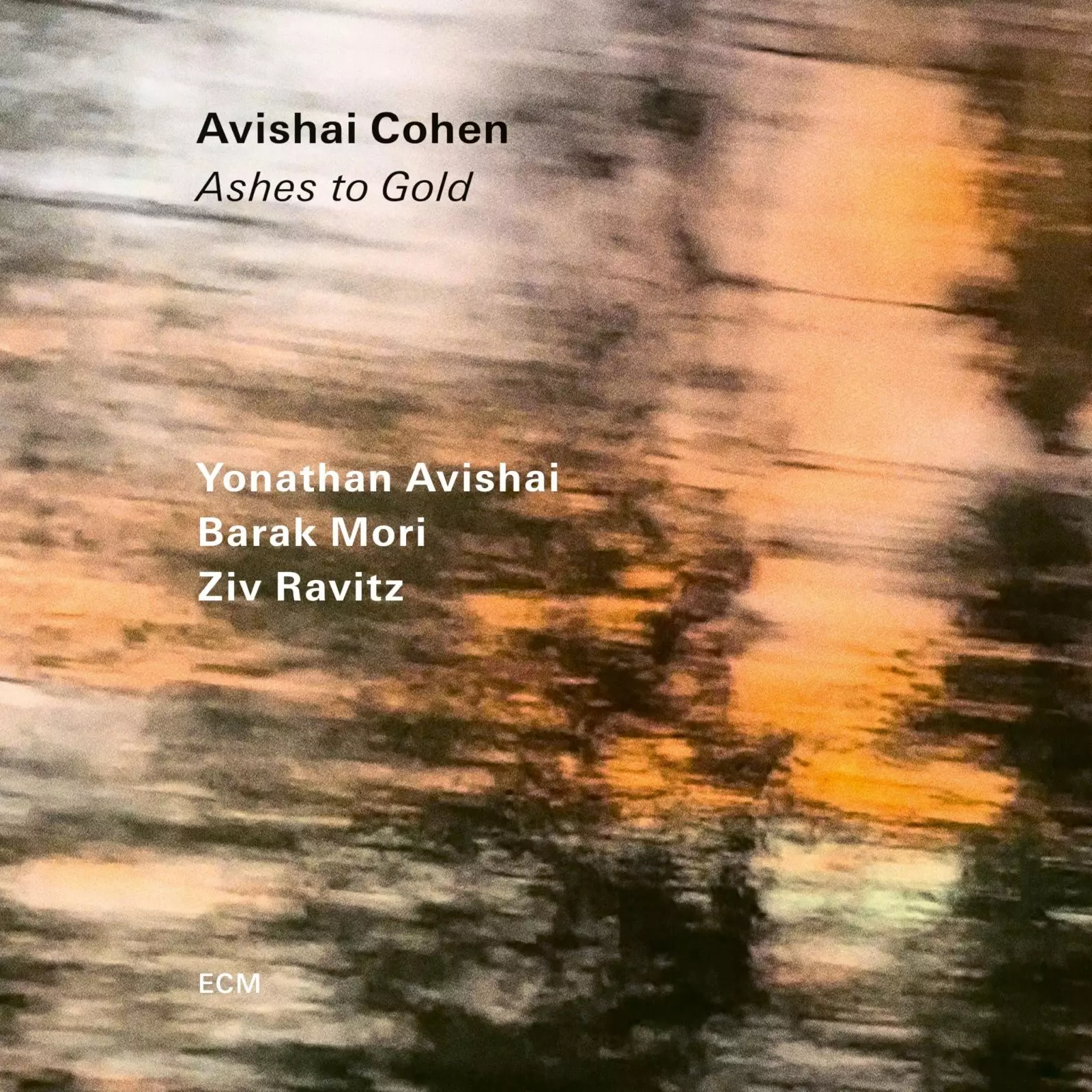 Ashes To Gold, CD - Muzyka