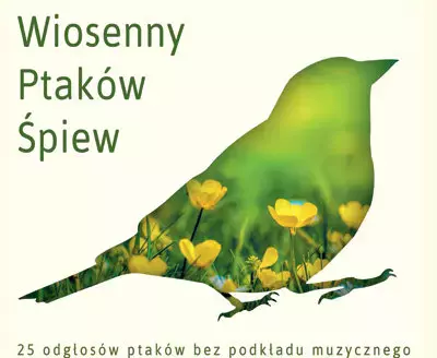 25 ptasich głosów bez podkładu muzycznego, CD - Muzyka