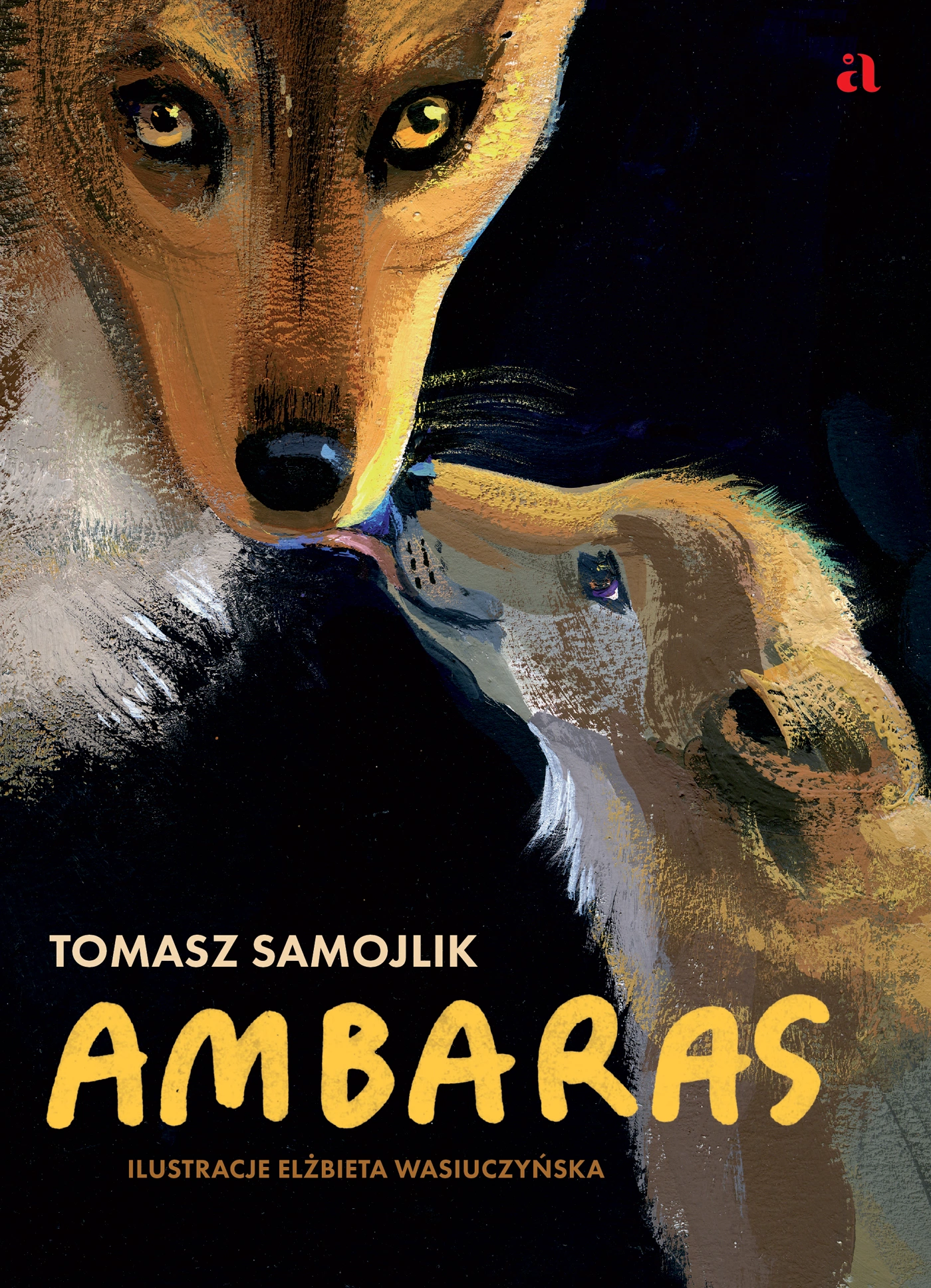 Ambaras - Książki