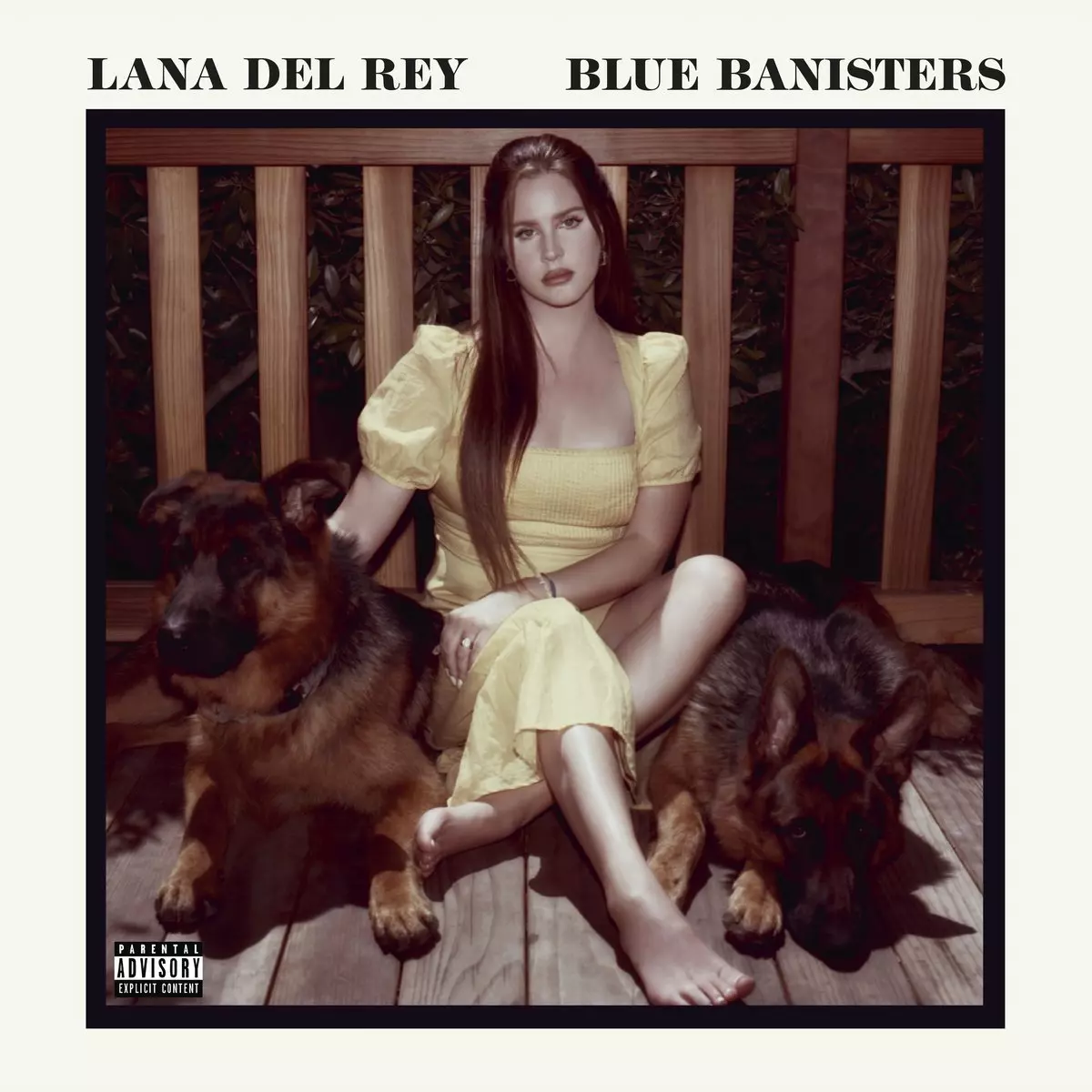 Blue Banisters, CD - Muzyka