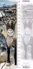 Zakładka 3D Renifer - Książki