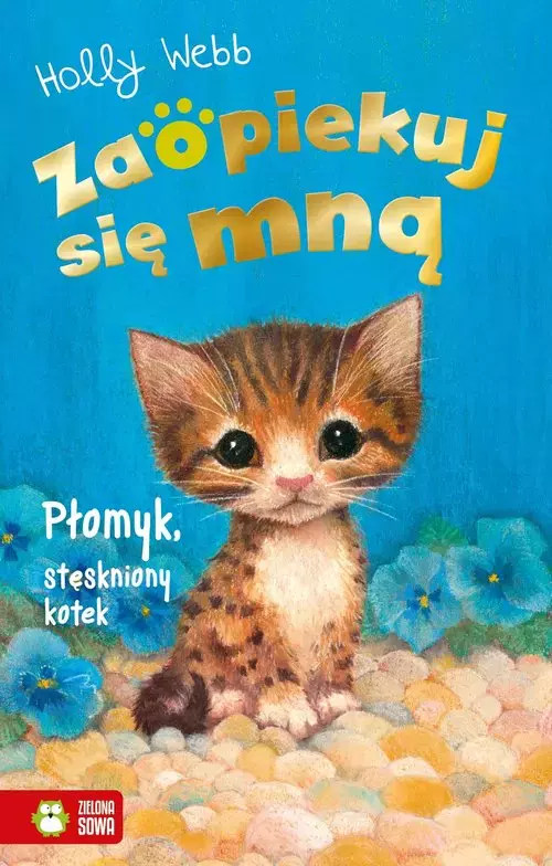Zaopiekuj się mną. Płomyk, stęskniony kotek (wyd. 2022) - Książki