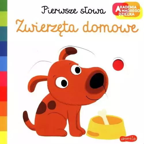 Zwierzęta domowe. Akademia Mądrego Dziecka. Pierws ze słowa - Książki