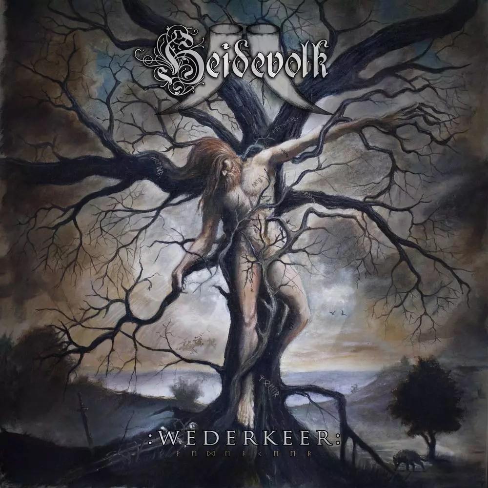 Werderkeer CD LIMITED, CD - Muzyka