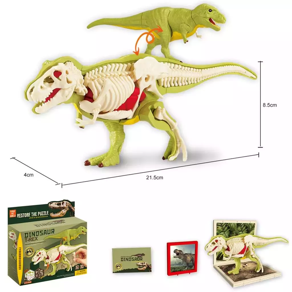 Dinozaur ze szkieletem do składania - Zabawki