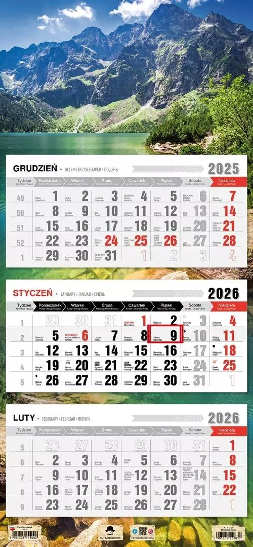 Kalendarz 2026 trójdzielny płaska główka morskie - Książki
