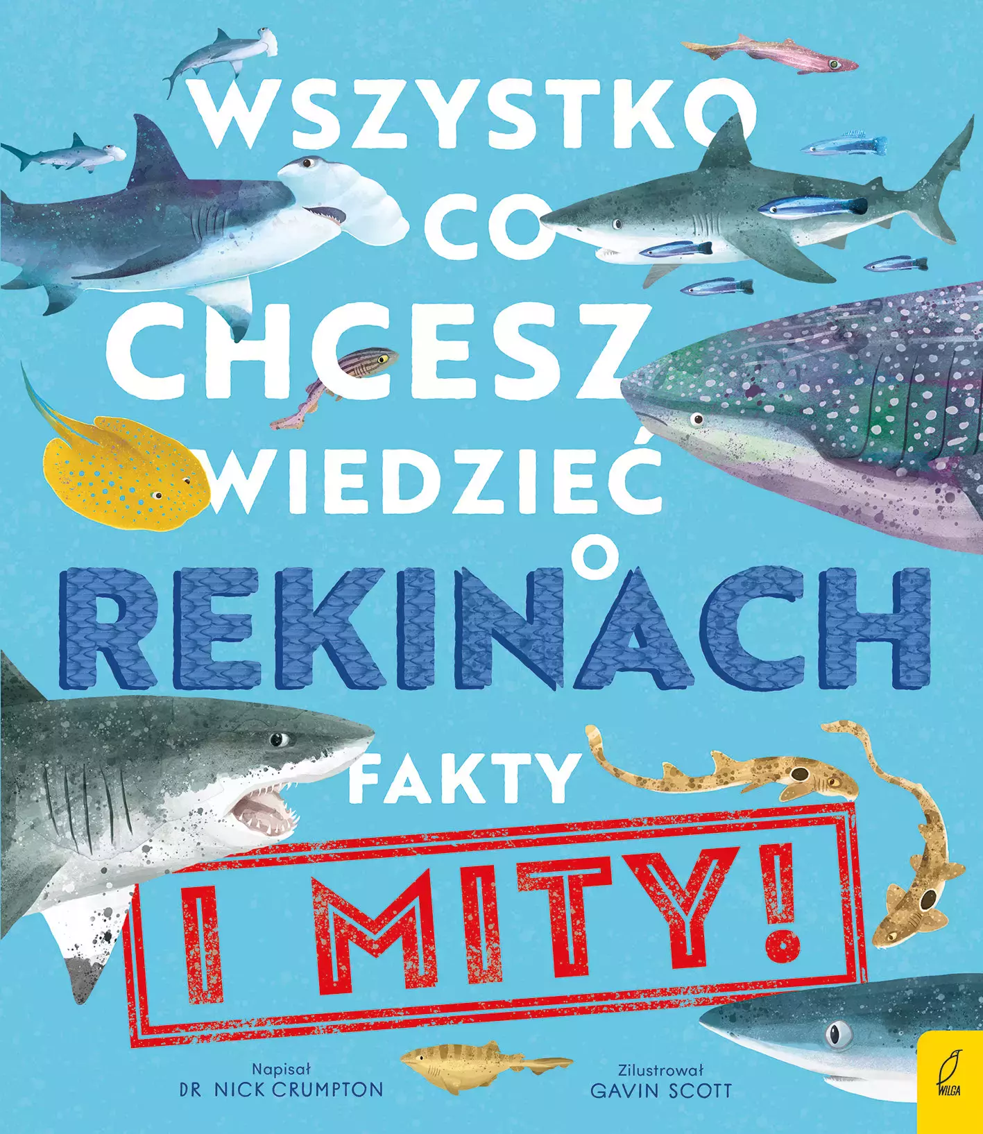 Wszystko, co chcesz wiedzieć o rekinach. Fakty i mity - Książki
