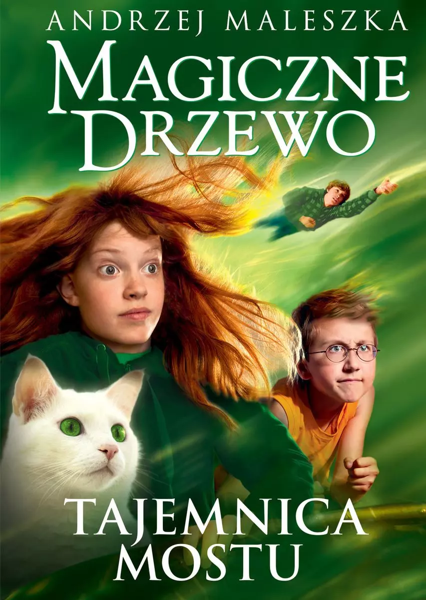 Magiczne drzewo. Tajemnica mostu, wydanie 2 - Książki