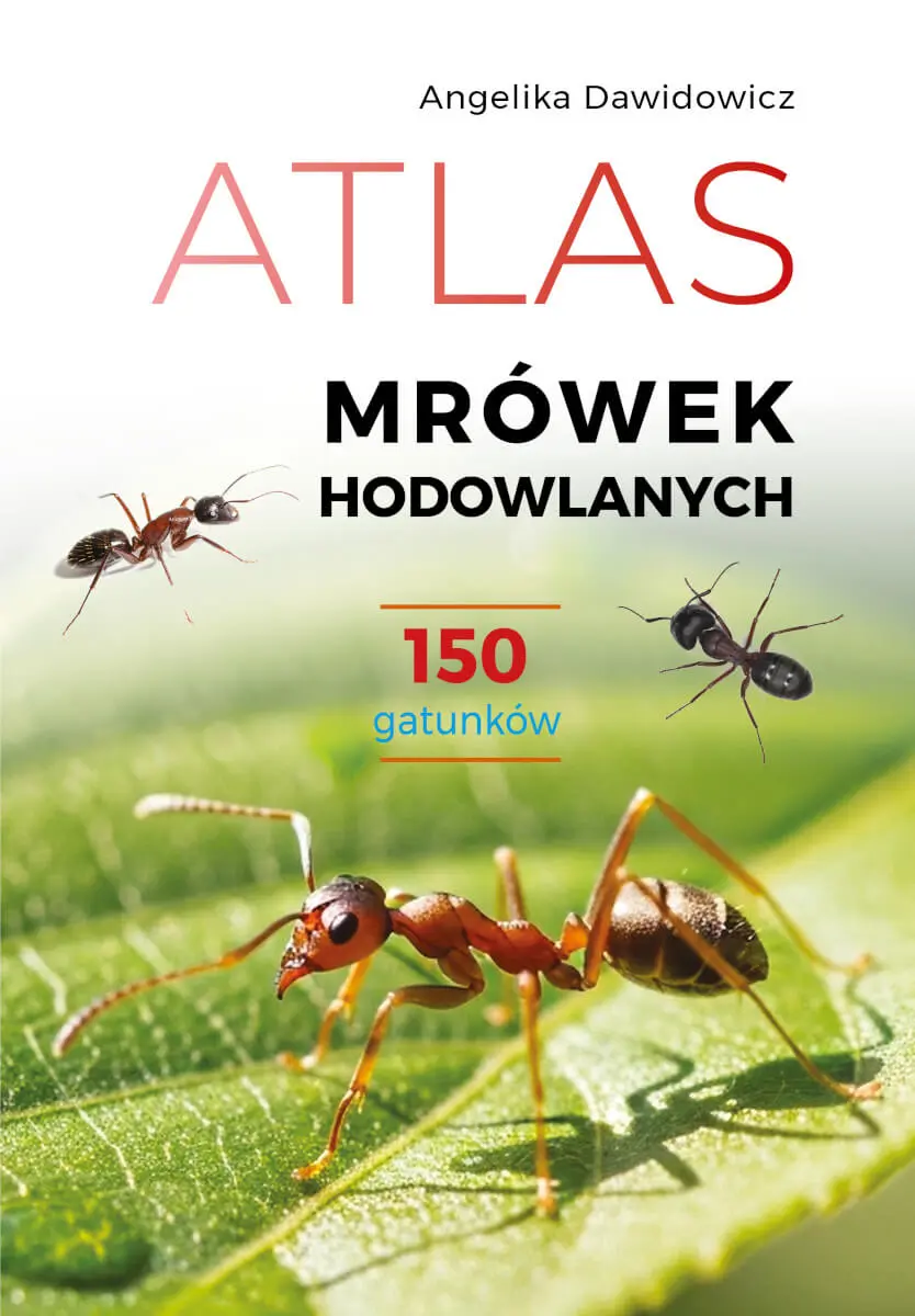 Atlas mrówek hodowlanych. 150 gatunków - Książki