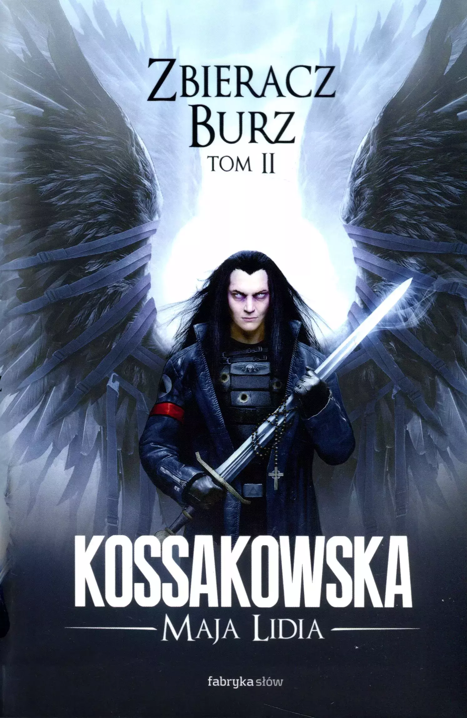 Cykl Anielski. Zbieracz Burz. Tom 2 - Książki
