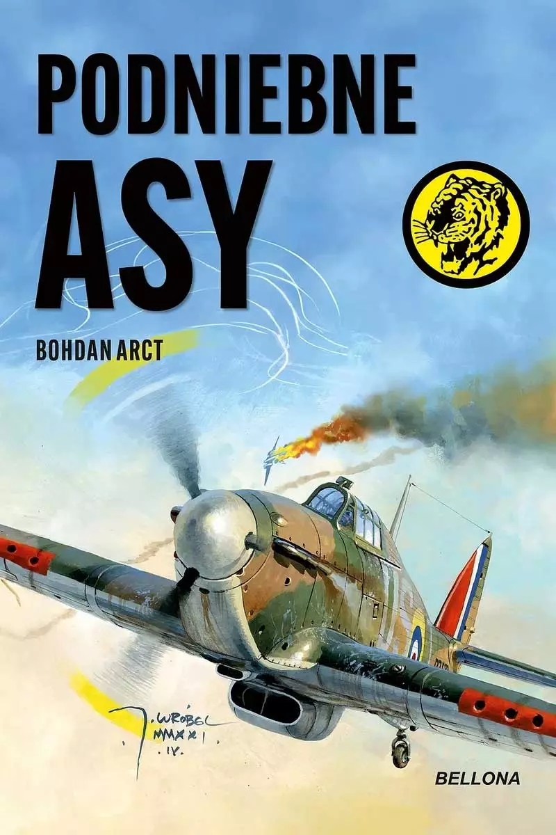 Podniebne asy - Książki