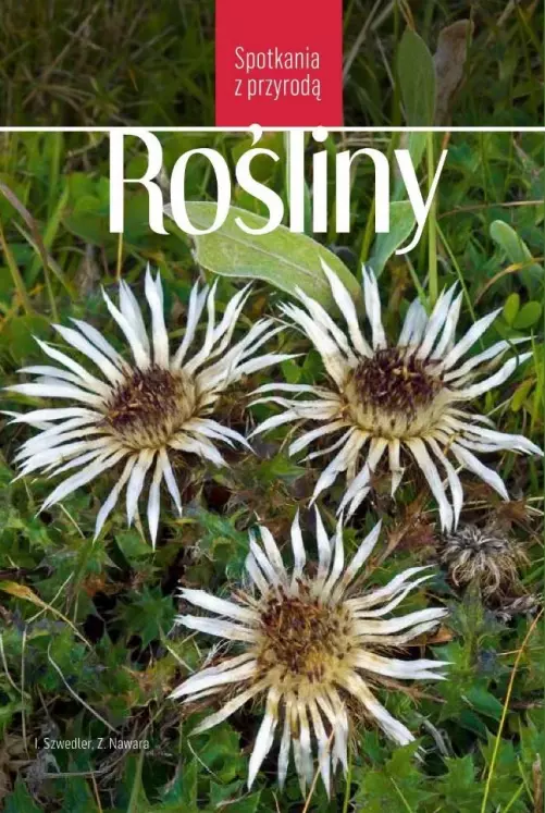 Spotkania z przyrodą. Rośliny - Książki