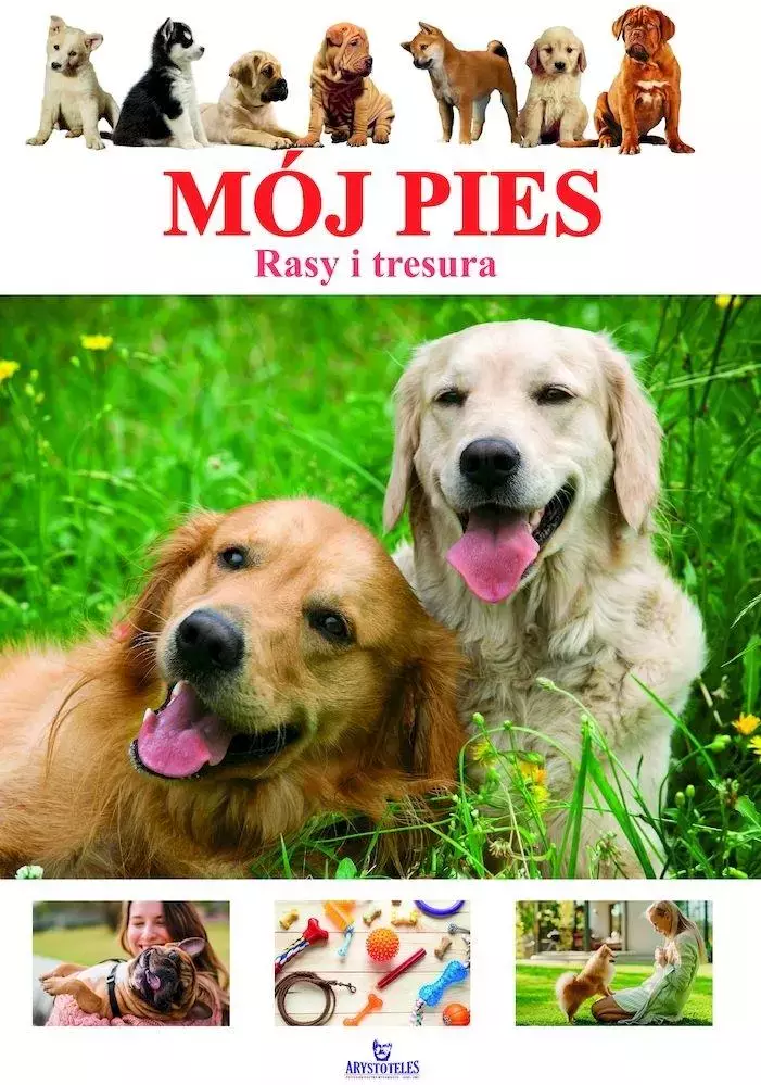 Mój pies. Rasy i tresura - Książki