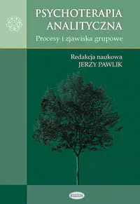 Psychoterapia analityczna. Procesy i zjawiska grupowe - Książki