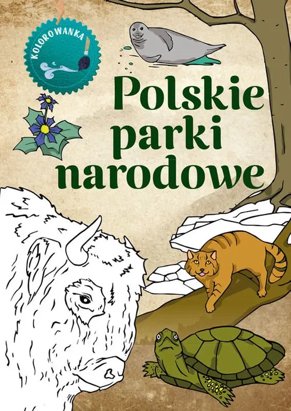 Polskie parki narodowe. Kolorowanka - Zabawki