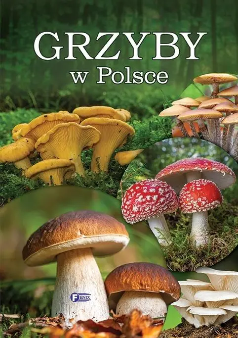 Grzyby w Polsce - Książki