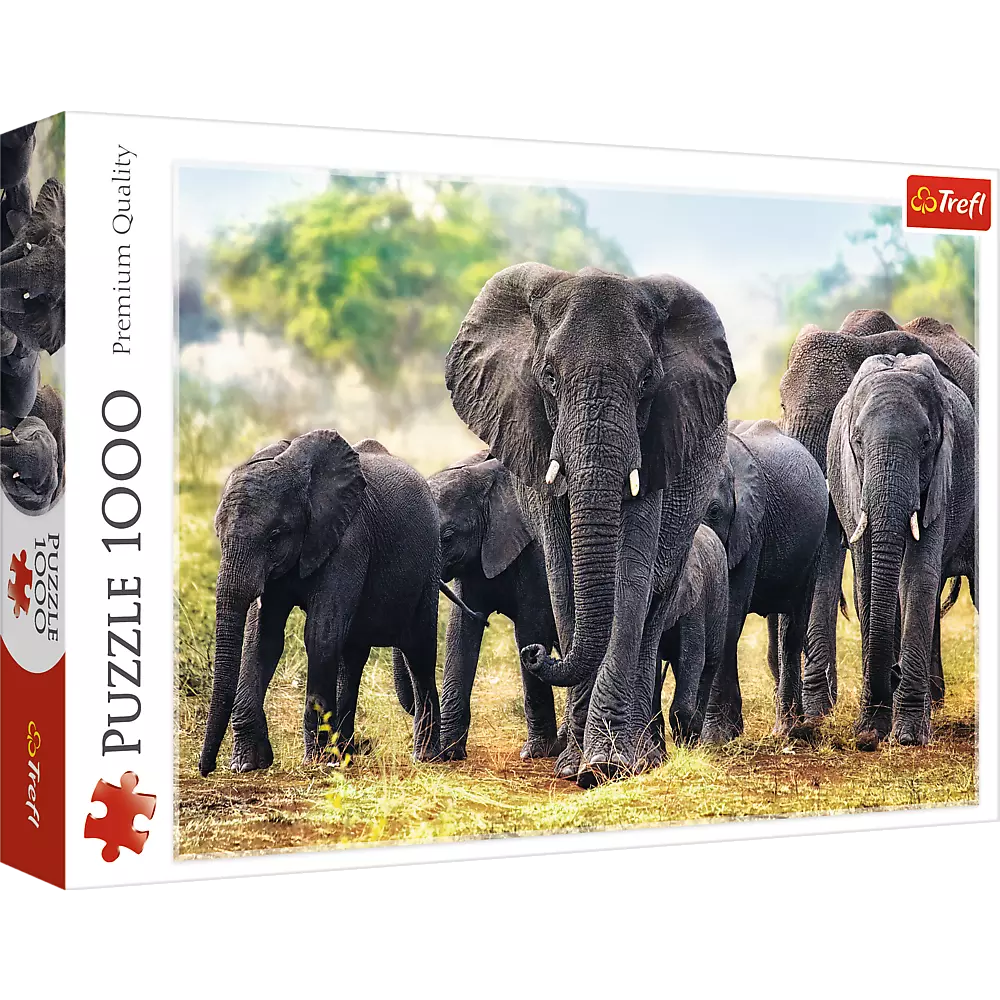 Puzzle 1000 elementów. Afrykańskie słonie - Puzzle