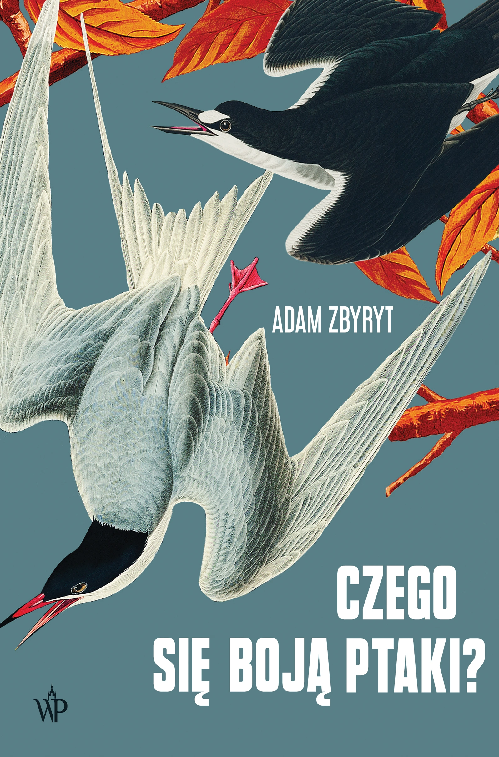 Czego się boją ptaki? - Książki