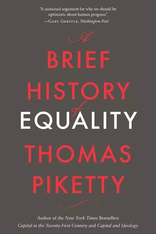 A Brief History of Equality - Książki