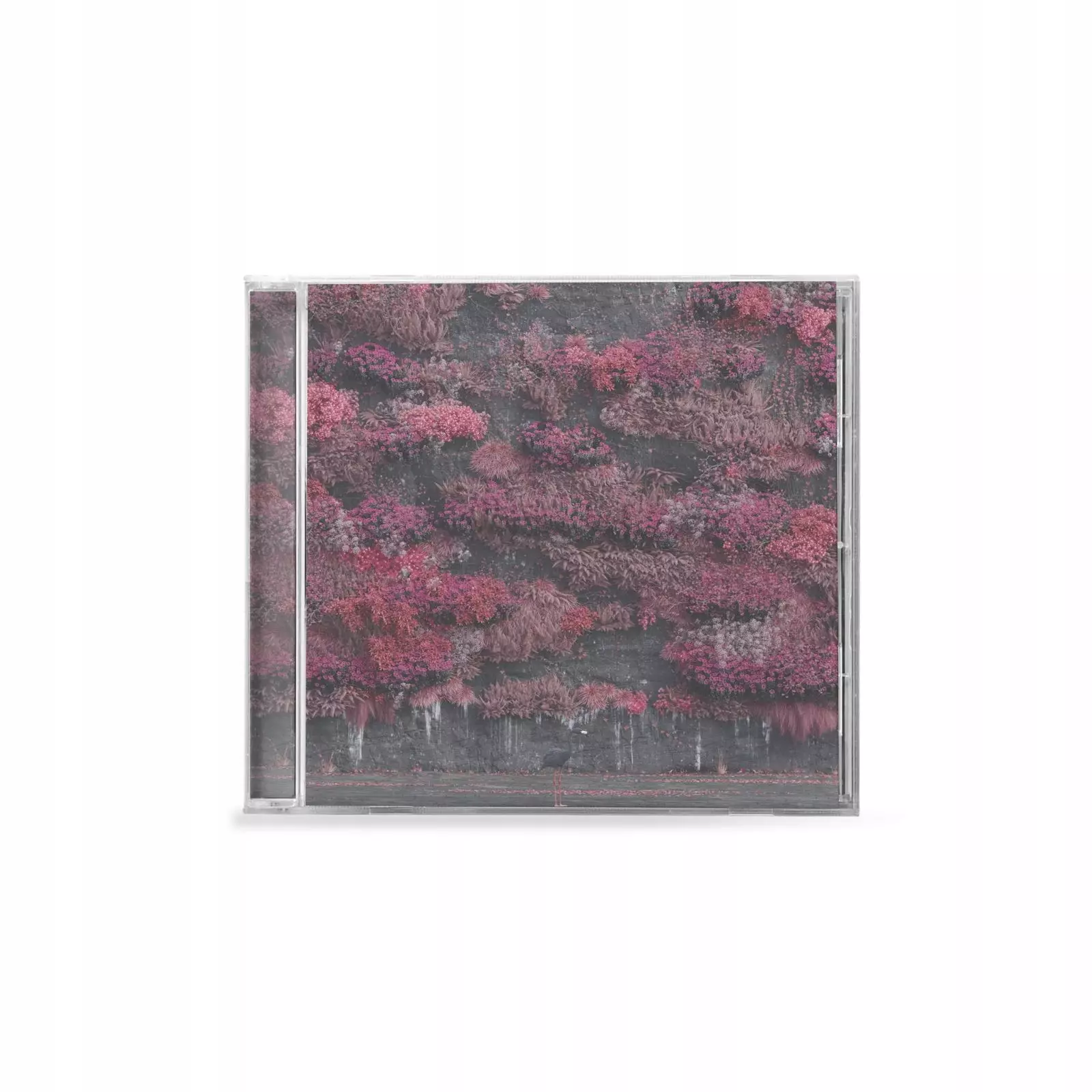 Even In Arcadia, CD - Muzyka