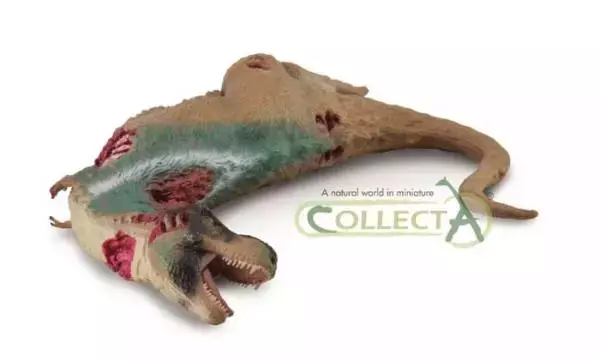 Tyranozaur zwłoki XL - Książki