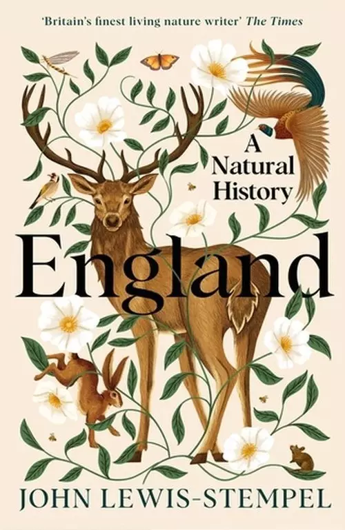 England - Książki