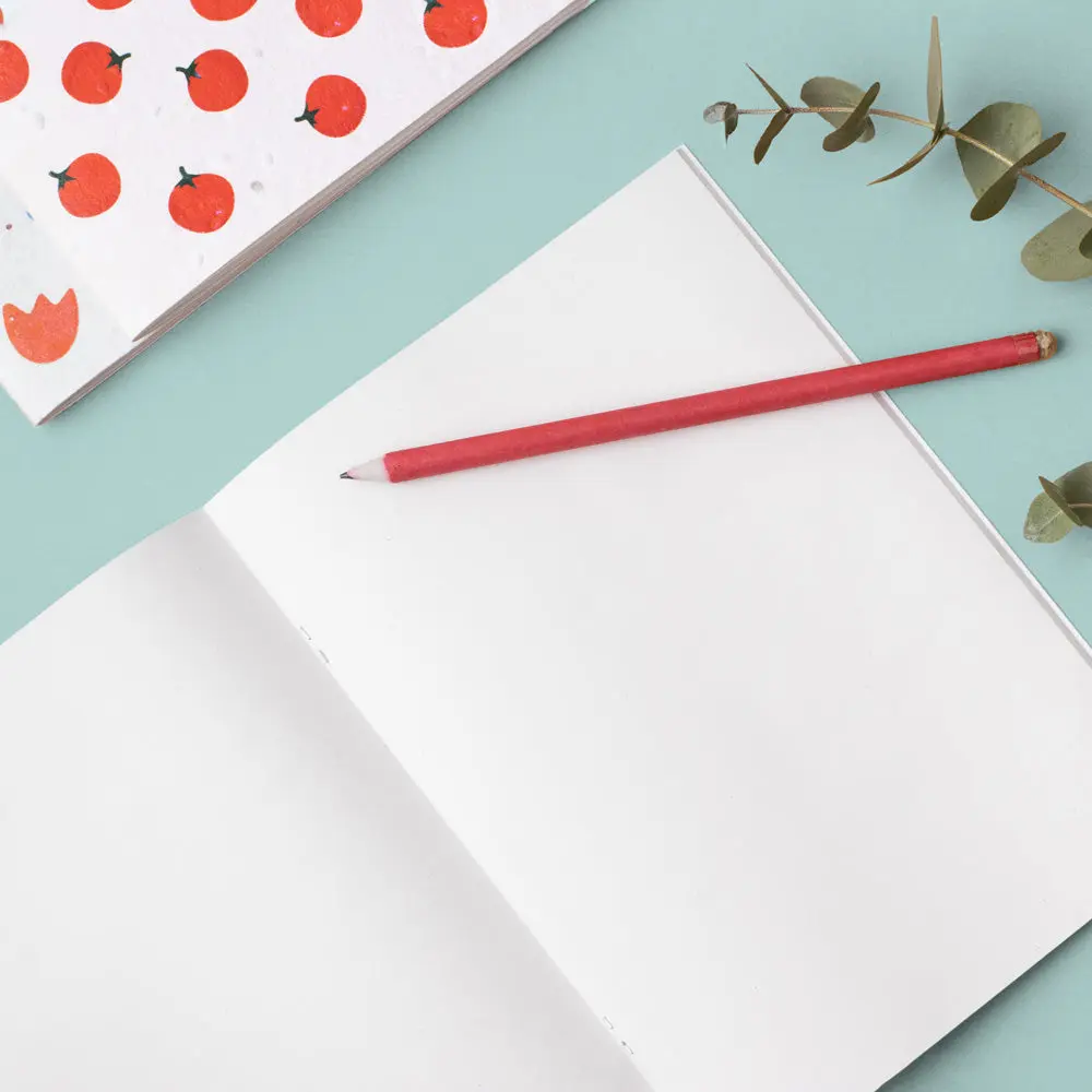 Notes do zasadzenia Resetea – kwiaty - Książki