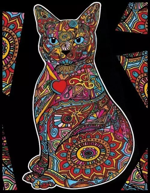 Kolorowanka Welwetowa Colorvelvet 47x35 cm Kocisko - Książki