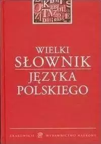 Wielki słownik języka polskiego - Książki