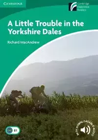 A Little Trouble in the Yorkshire Dales - Książki