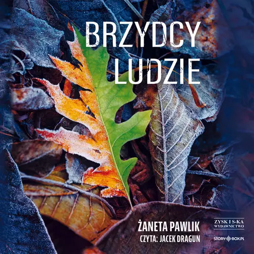 Brzydcy ludzie - Audiobooki