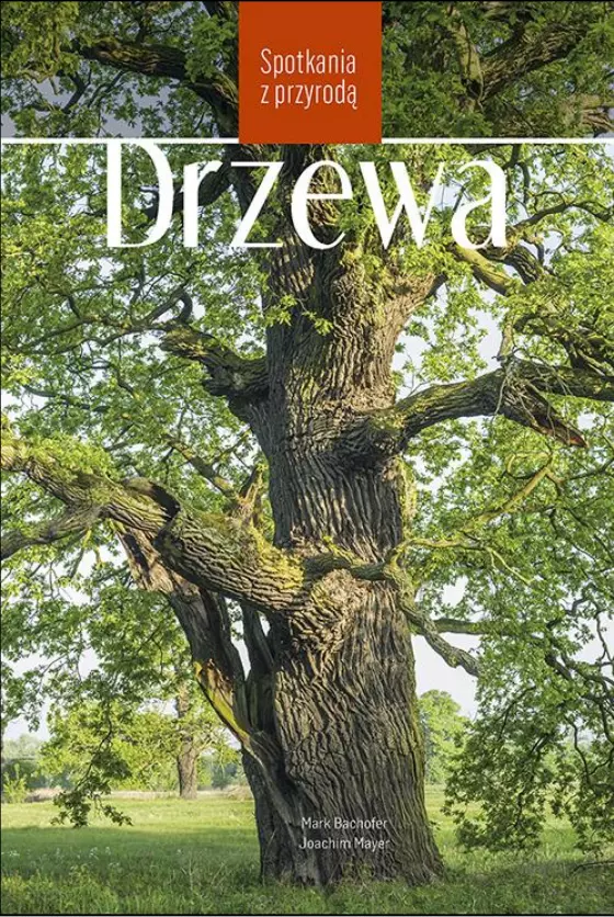 Spotkania z przyrodą. Drzewa - Książki