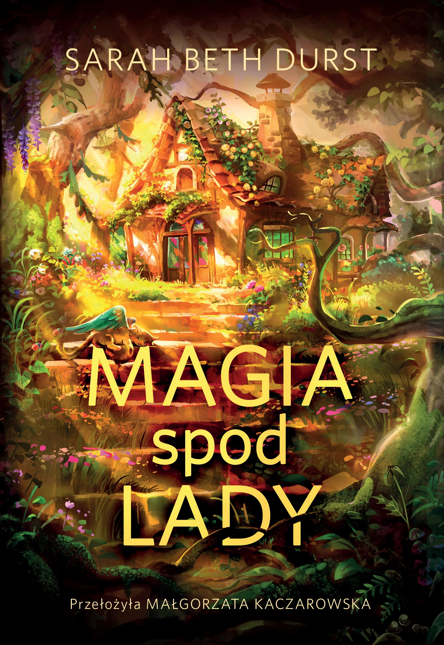 Magia spod lady - Książki