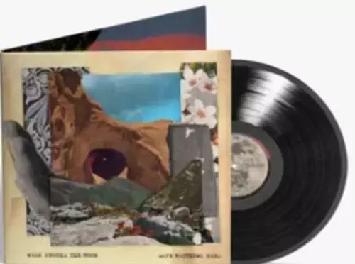 Walk Around The Moon LP, Winyl - Muzyka