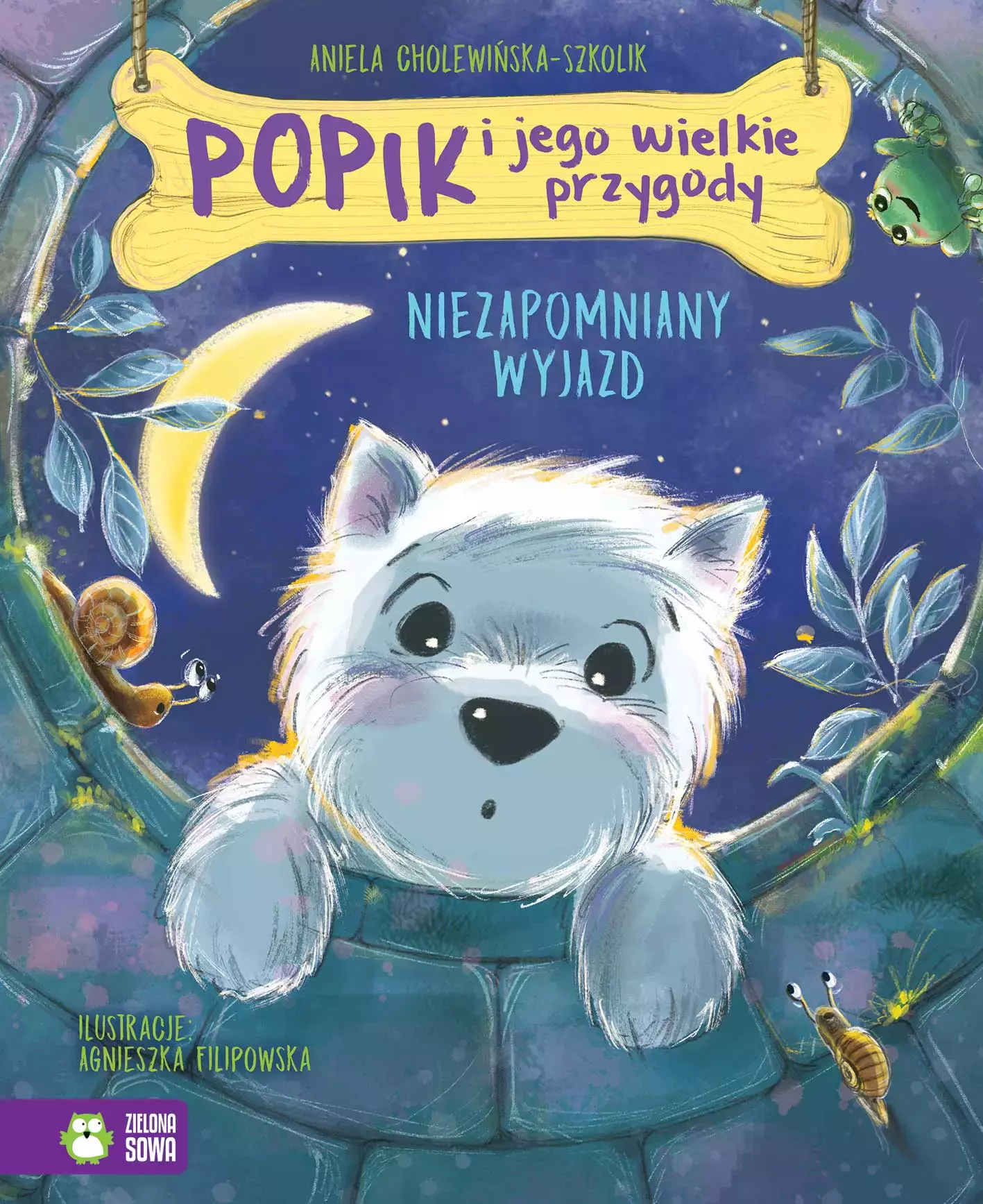 Popik i jego wielkie przygody. Niezapomniany wyjazd - Książki