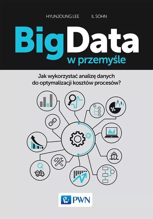 Big Data w przemyśle. Jak wykorzystać analizę danych do optymalizacji kosztów procesów? - Książki