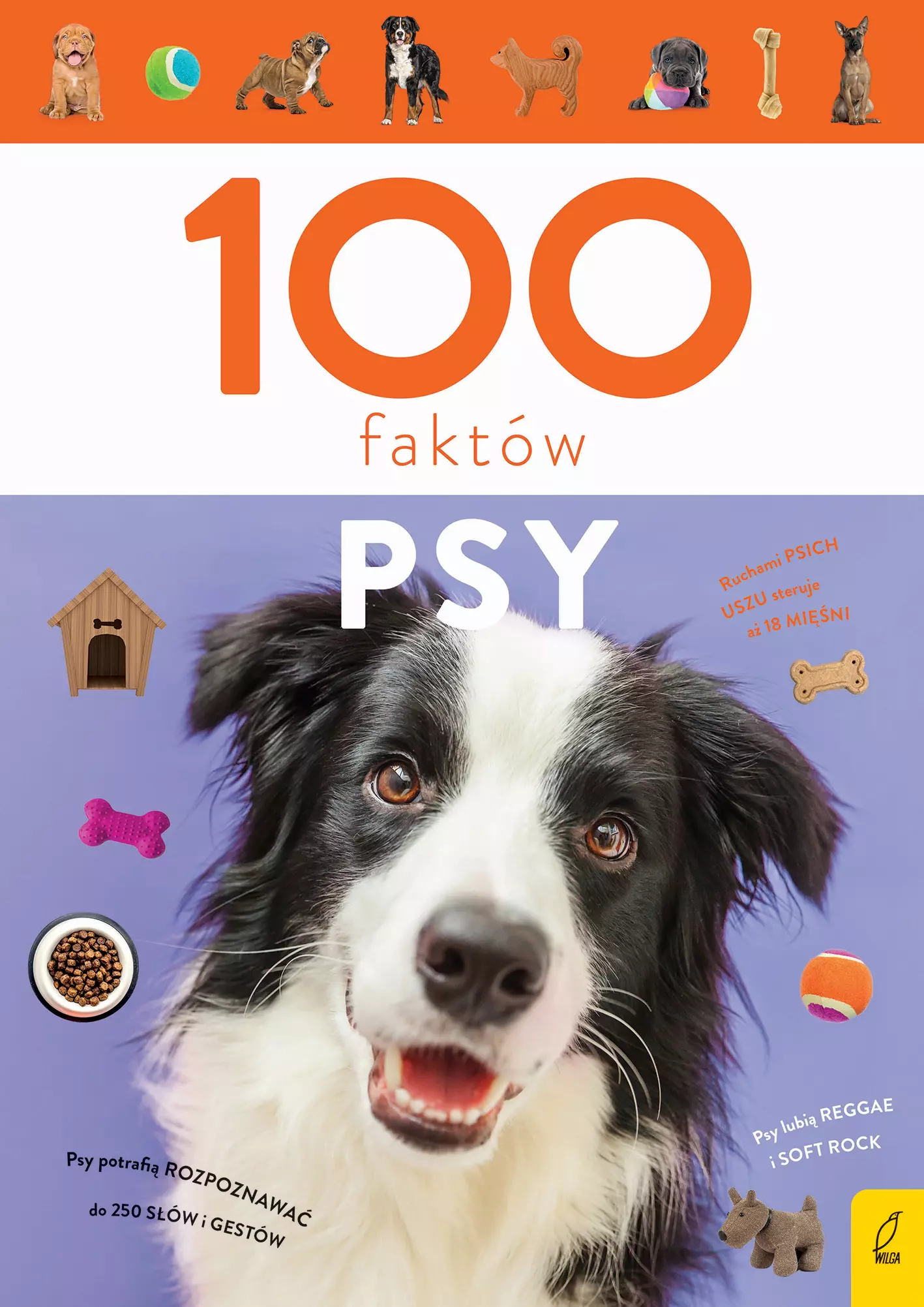 100 faktów. Psy - Książki