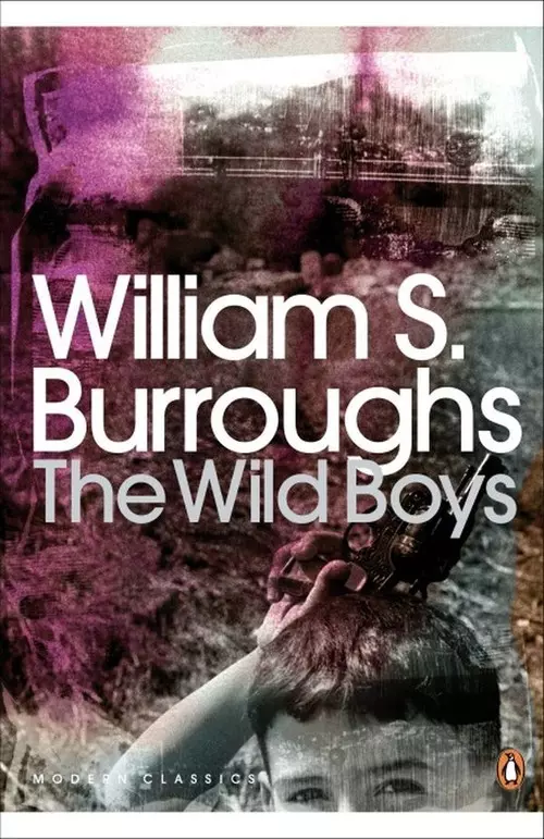 The Wild Boys - Książki