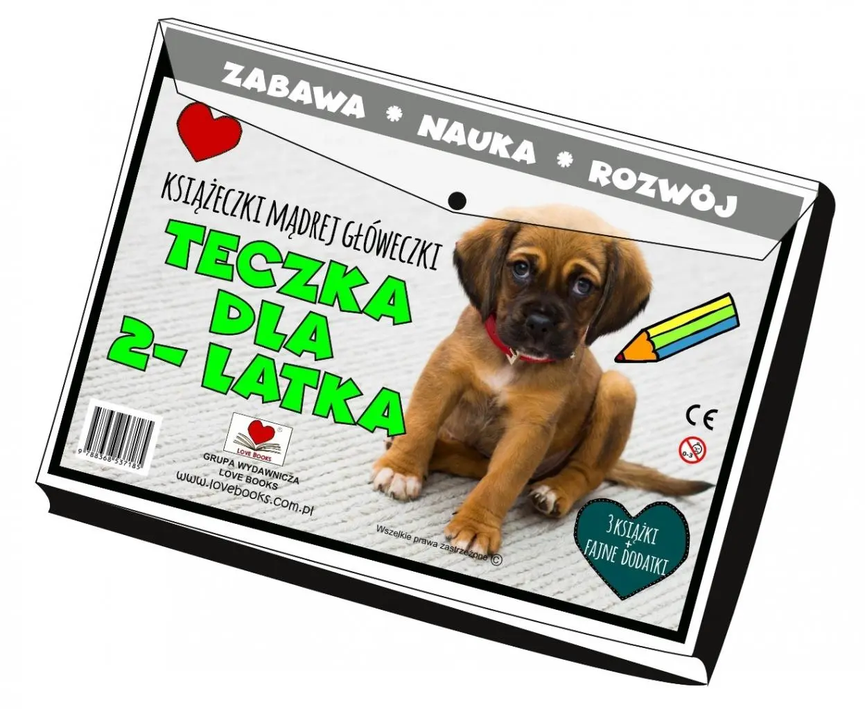 Teczka dla 2 latka. Książeczki mądrej główeczki - Książki