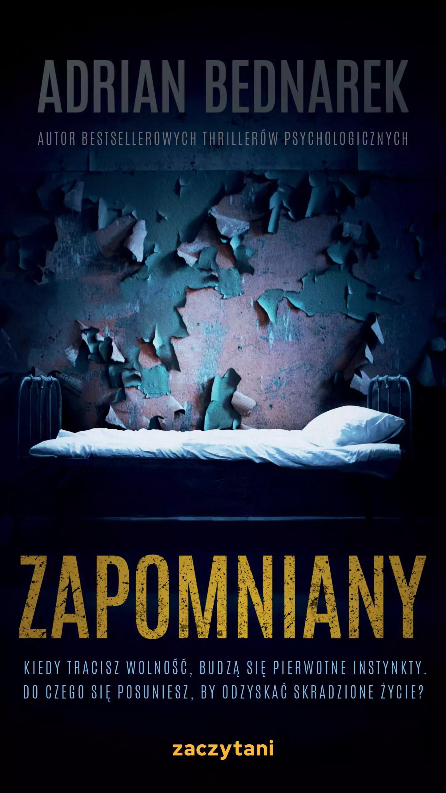 Zapomniany - Książki