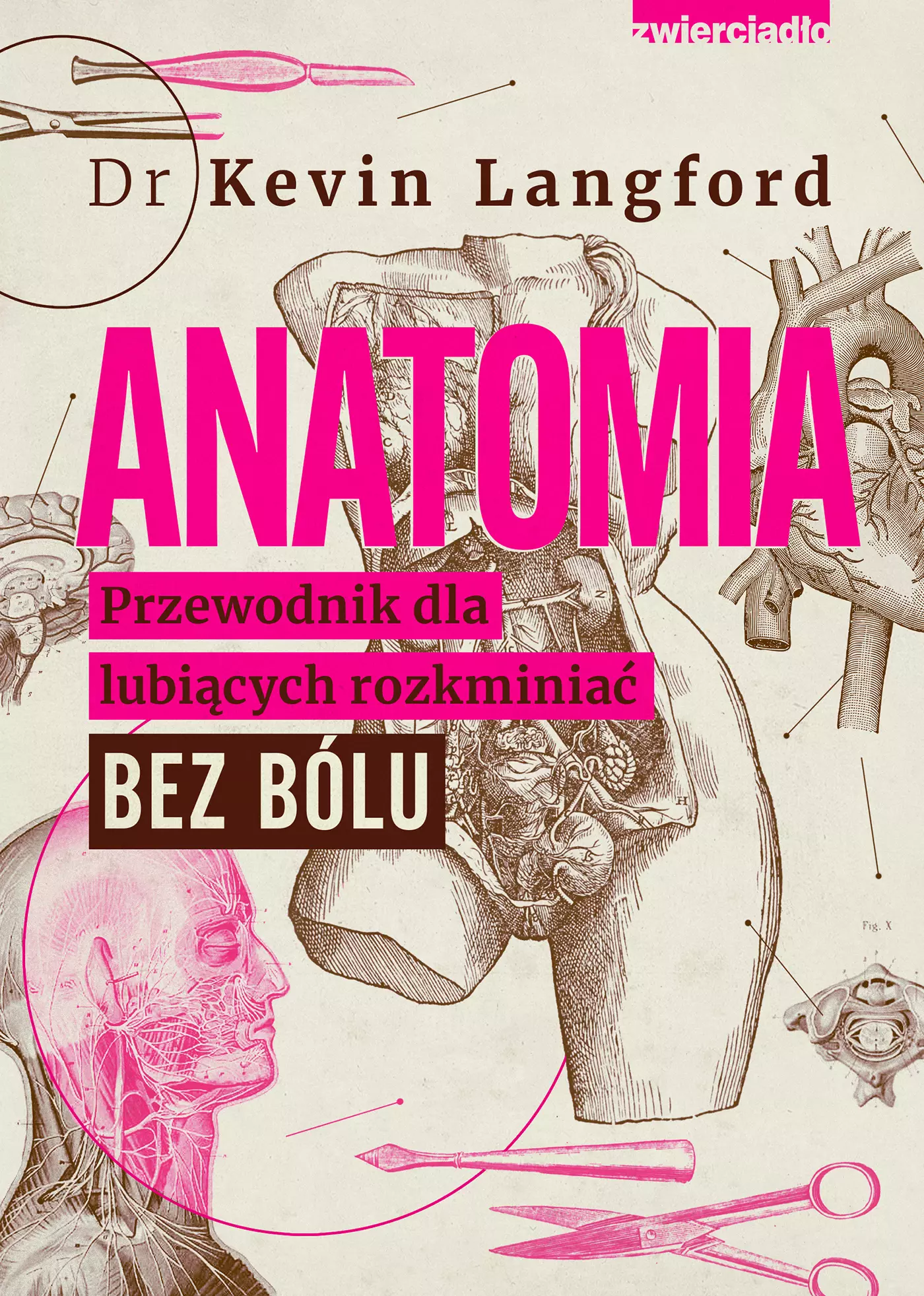 Anatomia. Przewodnik dla lubiących rozkminiać bez bólu - Książki