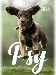 Kalendarz 2025 wieloplanszowy B4 Psy - Książki