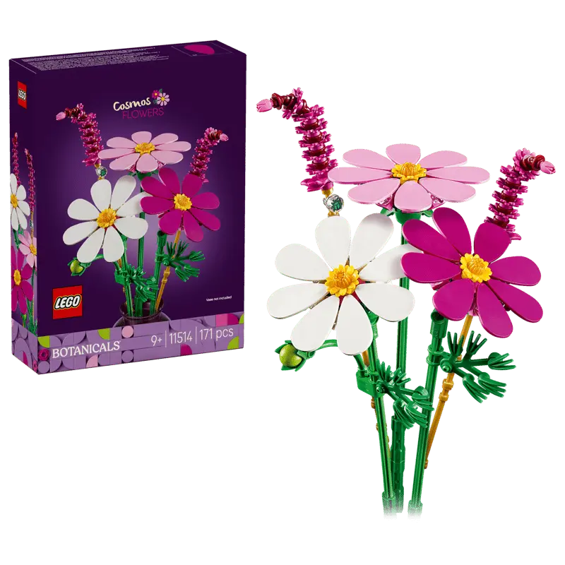 LEGO Botanicals Kosmosy 11514 - Zabawki