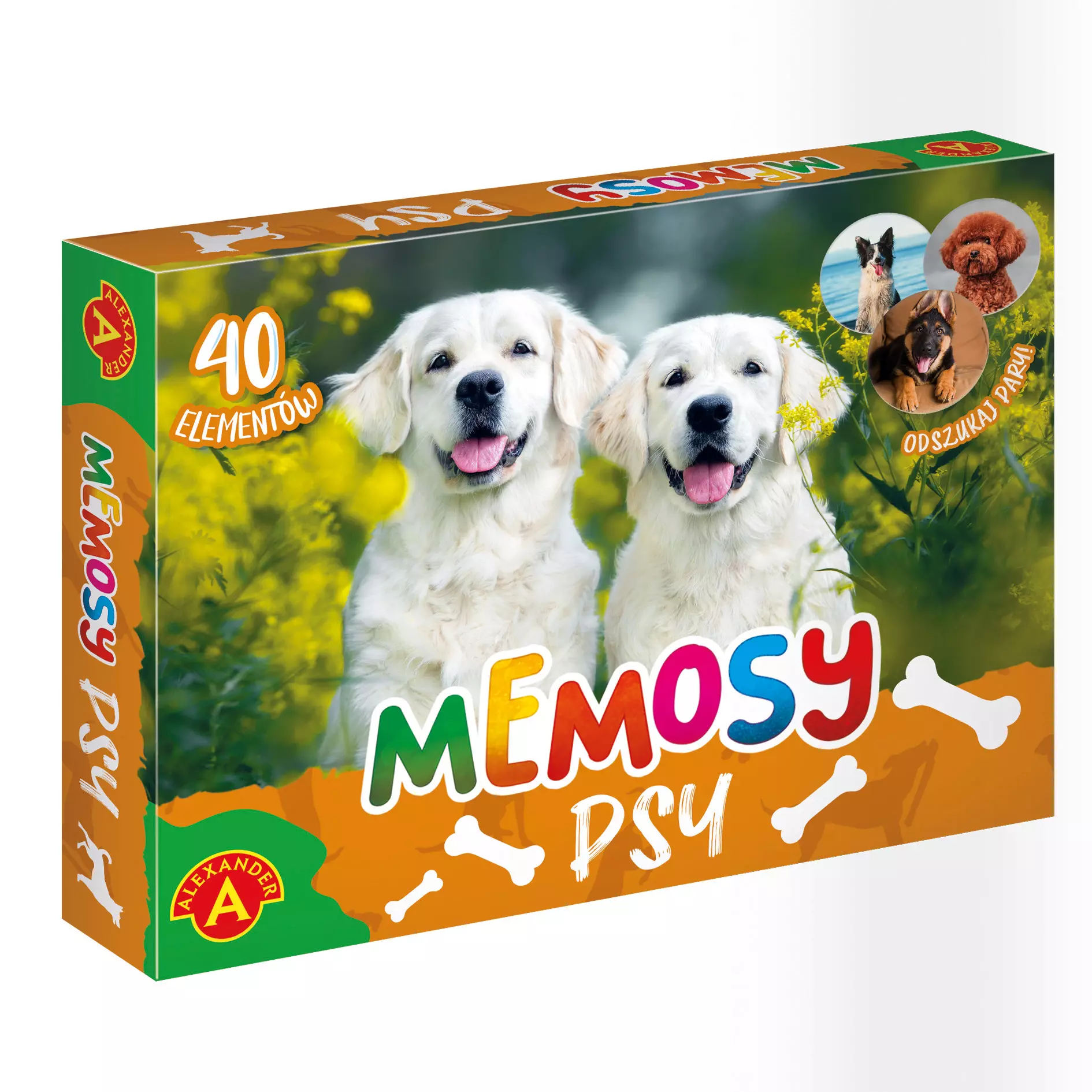 MEMOSY - PSY - Gry